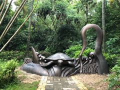 -广东惠东海龟国家级自然保护区