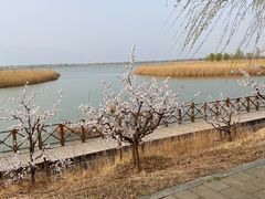 -野鸭湖国家湿地公园