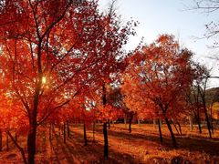 -玉渡山自然风景区