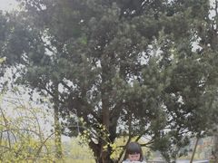 -东岳体育公园