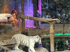 -清迈夜间动物园