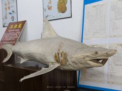 -宋船渔栈(白沙店)