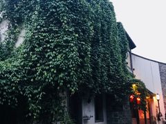 -志龙皇冠吃货椰子铺