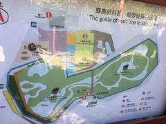 -北京麋鹿生态实验中心