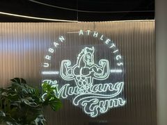 -TMG潮流健身(奥体莲荷里店)