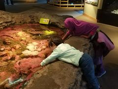 -西雅图水族馆