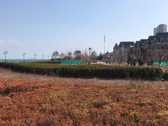 -东港音乐喷泉广场