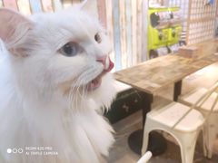 -小时光咖啡馆(开森度假森林店)