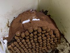 -好利来(四季青店)