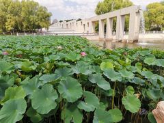-长春世界雕塑园冰雪艺术天地