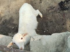 -宁波野生动物园
