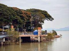 -深圳湾公园(南山区)