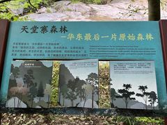 -安徽天堂寨风景区