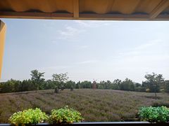 -同里国家湿地公园