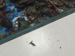-养牛邓·潮汕牛肉海鲜自助火锅(广州店)