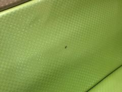 -清真·锦翔炝锅鱼(明德门店)