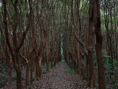 -同里国家湿地公园