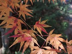 -汇龙潭