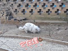 -李叔同故居纪念馆