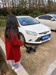 -前小桔亲子创意农场·草莓采摘·露营烧烤