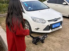 -前小桔亲子创意农场·草莓采摘·露营烧烤