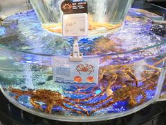 -盒马鲜生(悠方店)