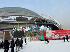 -沈阳奥体冰雪嘉年华