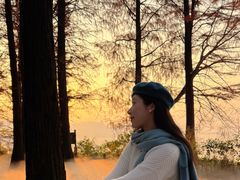 -东湖落雁景区