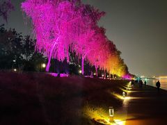-咸阳湖景区