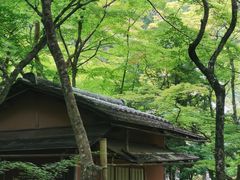 -西芳寺(苔寺)