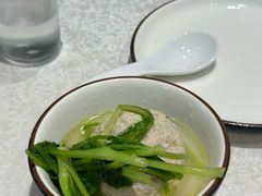 -丁老爷子苏香圆