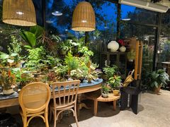 -自由生长植物工作室(深港花卉中心店)