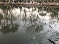 -鲁迅公园-垂钓中心