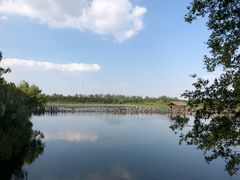 -溱湖国家湿地公园