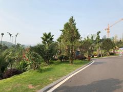 -枫香湖儿童公园