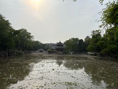 -莲池书院博物馆