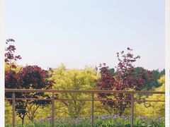 -东郊湿地公园