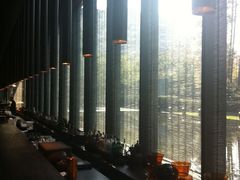 外面的水景，夏天很清亮-上海璞麗酒店