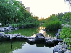 -大望京公园