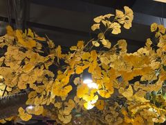 -城墙拐拐火锅(三峡广场黑金冠店)