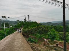 -桃源山庄·水蜜桃采摘·柴火鸡·烧烤团建(龙泉山店)