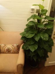 -TIME SPA科技美肤机构