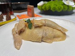 茉莉白切鸡-好友缘酒家(会展中心店)