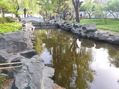 -南来顺饭庄·清真(南菜园店)