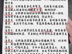 -日照灯塔风景区