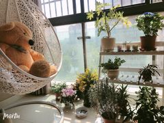 -双季花艺园艺市场(浦东店)