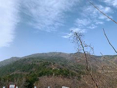 -北京西山国家森林公园