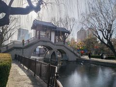 -团结湖公园