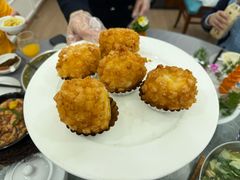 -丁老爷子苏香圆