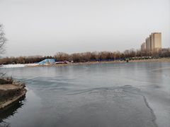 -大兴滨河森林公园